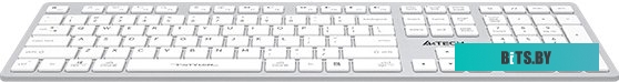 Клавиатура A4Tech Fstyler FX50 (белый)