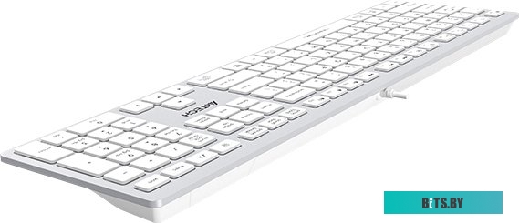 Клавиатура A4Tech Fstyler FX50 (белый)