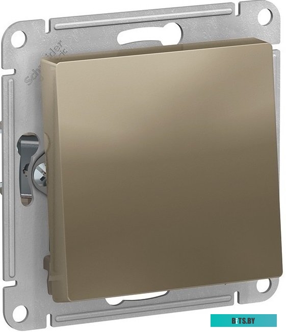 Розетка Schneider Electric AtlasDesign ATN000561