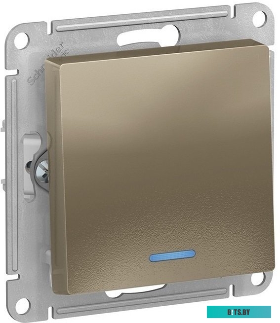 Розетка Schneider Electric AtlasDesign ATN000513