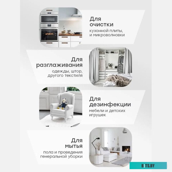 Пароочиститель Bort BDR-2700-R <93412987>