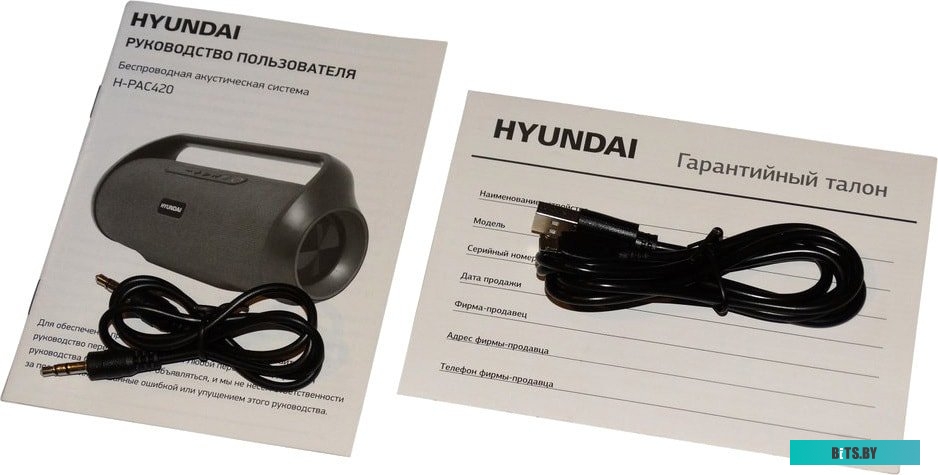 Беспроводная колонка Hyundai H-PAC420