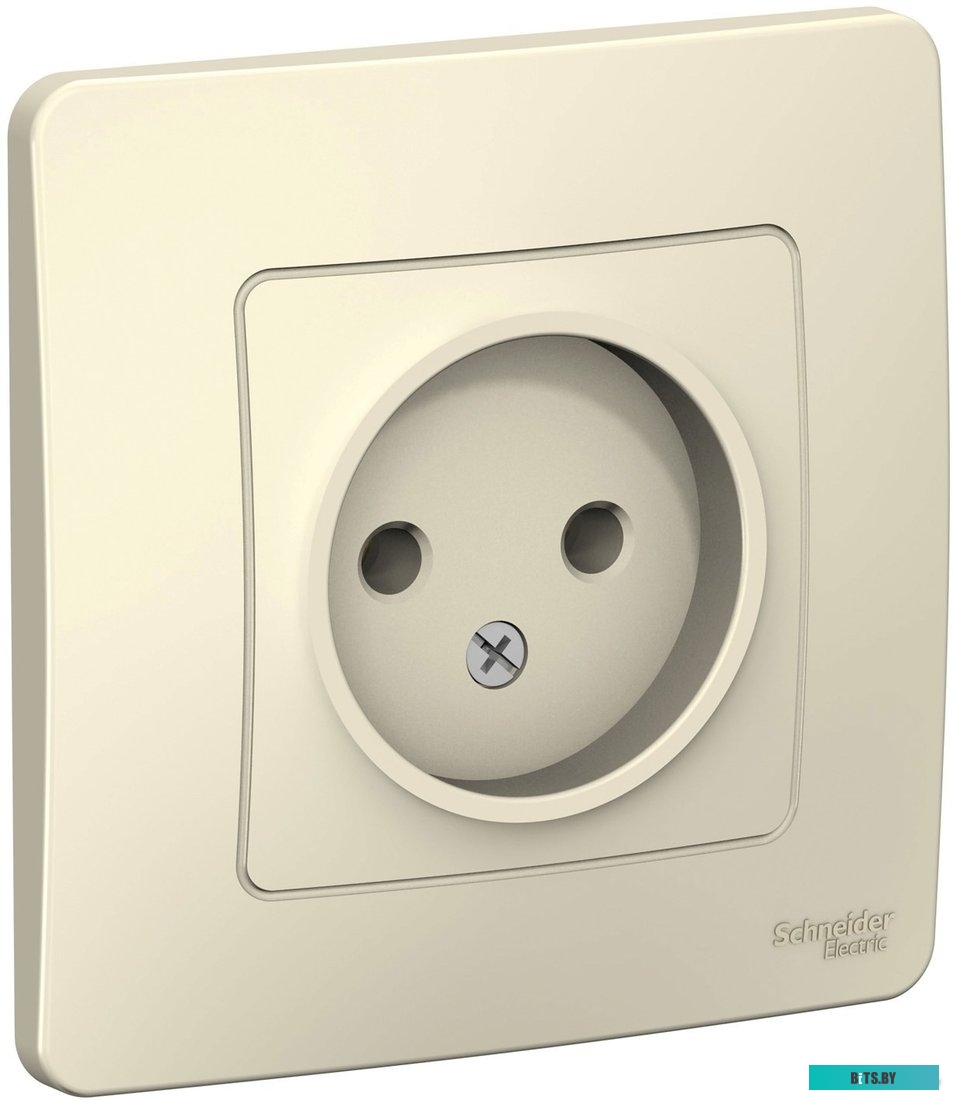 Розетка Schneider Electric Blanca BLNRS000012