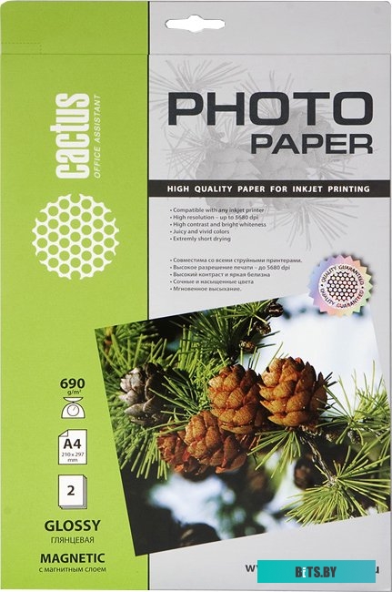 Фотобумага CACTUS Глянцевая магнитная A4 690 г/кв.м. 2 листа (CS-MGA46902)