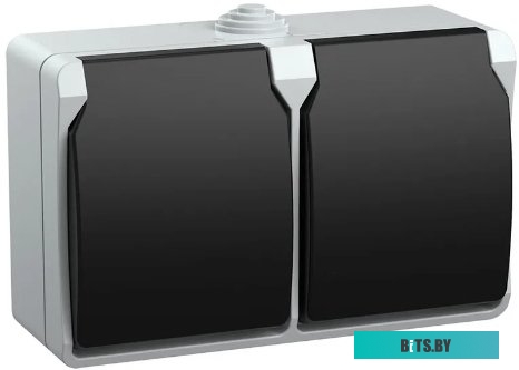 Розетка IEK Форс РСб22-3-ФСр <ERS22-K03-16-54-DC>