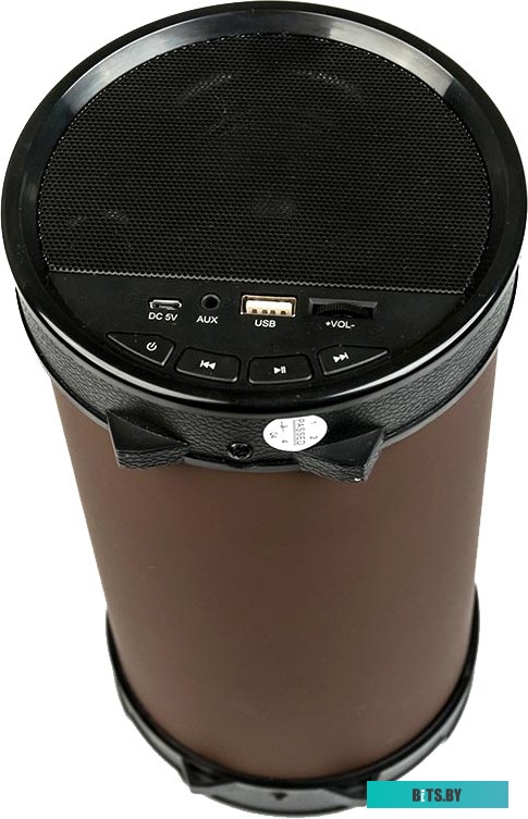 Портативная акустика Dialog AP-1000