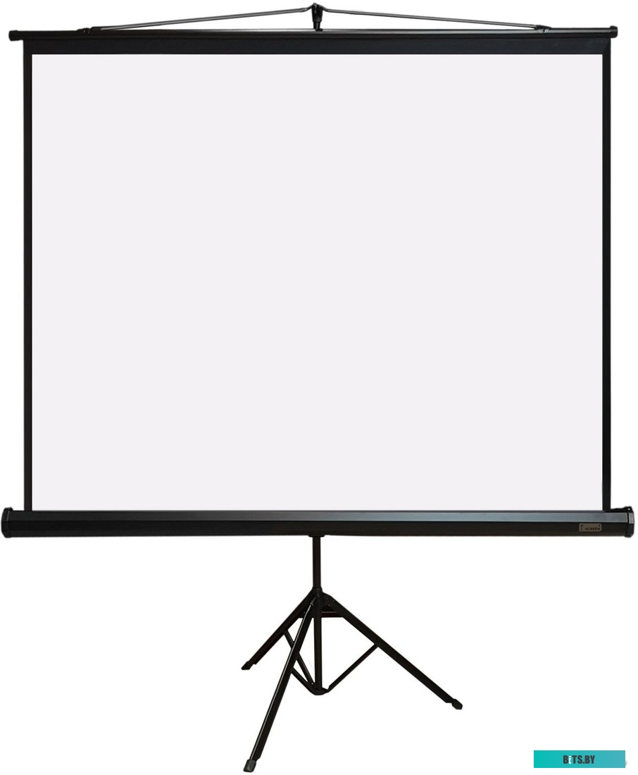 Экран для проекторов PL Magna TRM-AV-60