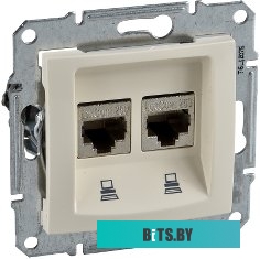 Розетка компьютерная Schneider Electric Sedna SDN4400147