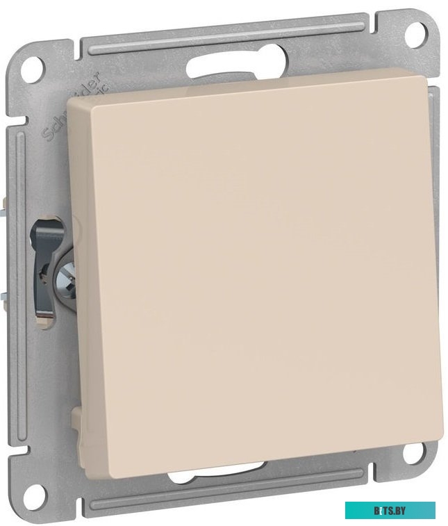 Розетка Schneider Electric AtlasDesign ATN000271
