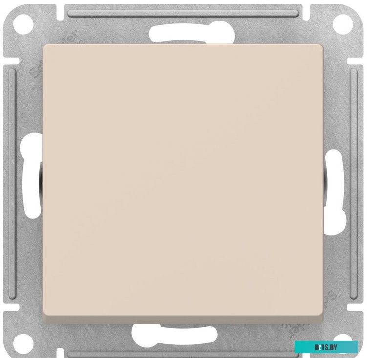 Розетка Schneider Electric AtlasDesign ATN000271