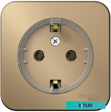 Розетка Schneider Electric Blanca BLNRA110114