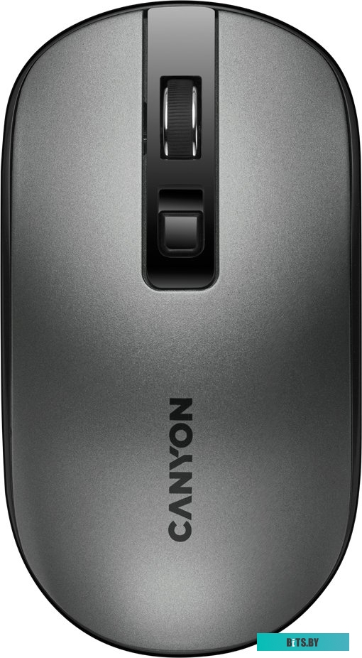 Мышь Canyon CNS-CMSW18DG