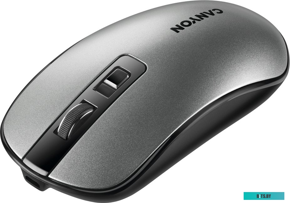 Мышь Canyon CNS-CMSW18DG