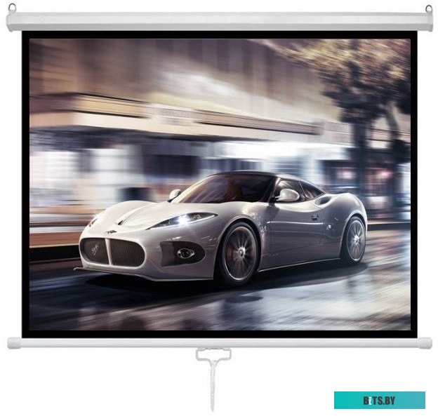 Проекционный экран Future Vision Business 300 300x218 W300WMW
