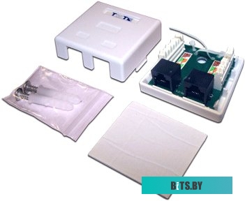 Розетка компьютерная TWT TWT-SM2-4545/S-WH