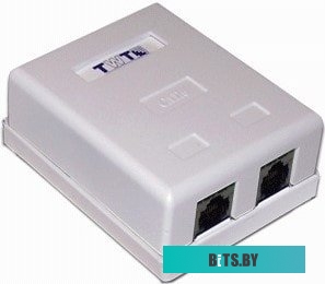 Розетка компьютерная TWT TWT-SM2-4545/S-WH