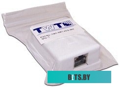Розетка компьютерная TWT TWT-SM2-4545/S-WH