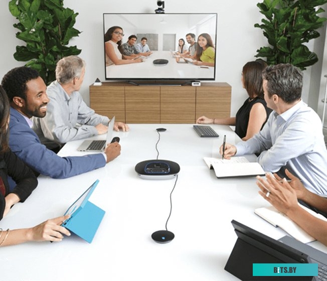 Микрофон Logitech Group Expansion Microphones (989-000171)