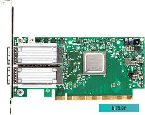 Сетевой адаптер Mellanox MCX556A-ECAT