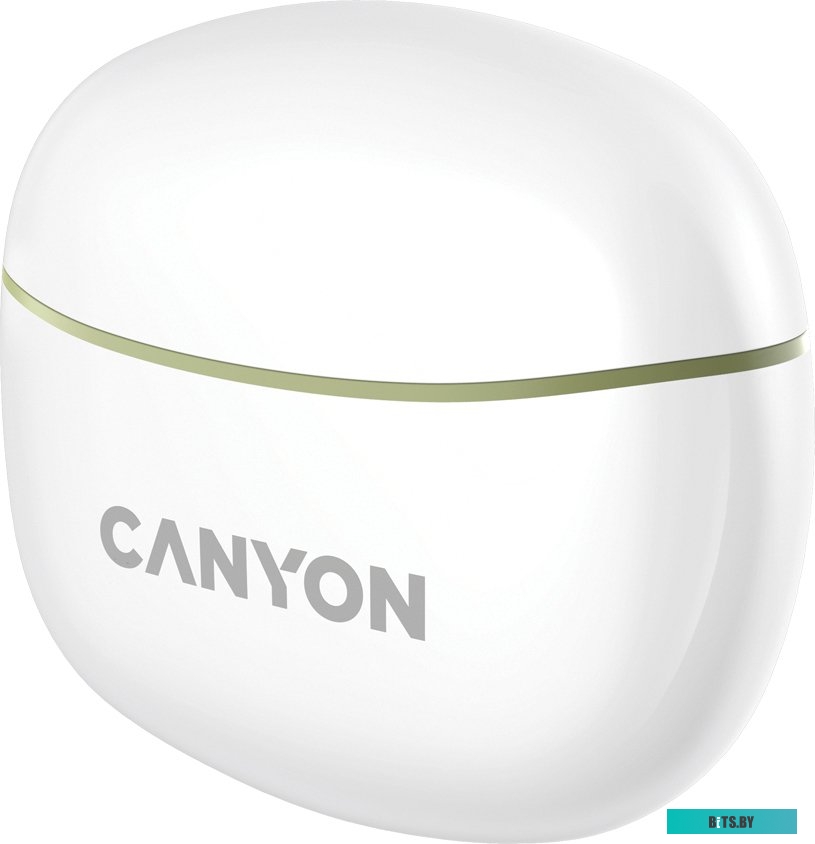Наушники (Гарнитура) Canyon CNS-TWS5GR