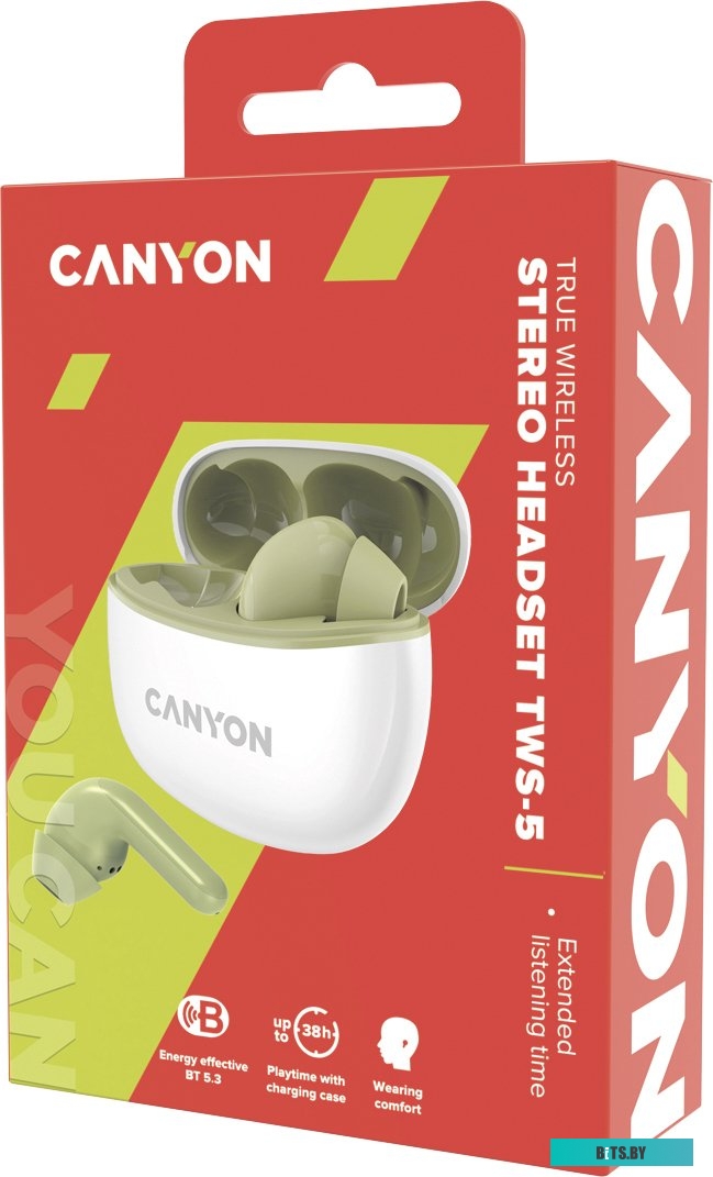 Наушники (Гарнитура) Canyon CNS-TWS5GR