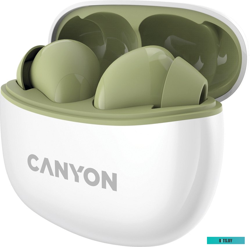 Наушники (Гарнитура) Canyon CNS-TWS5GR