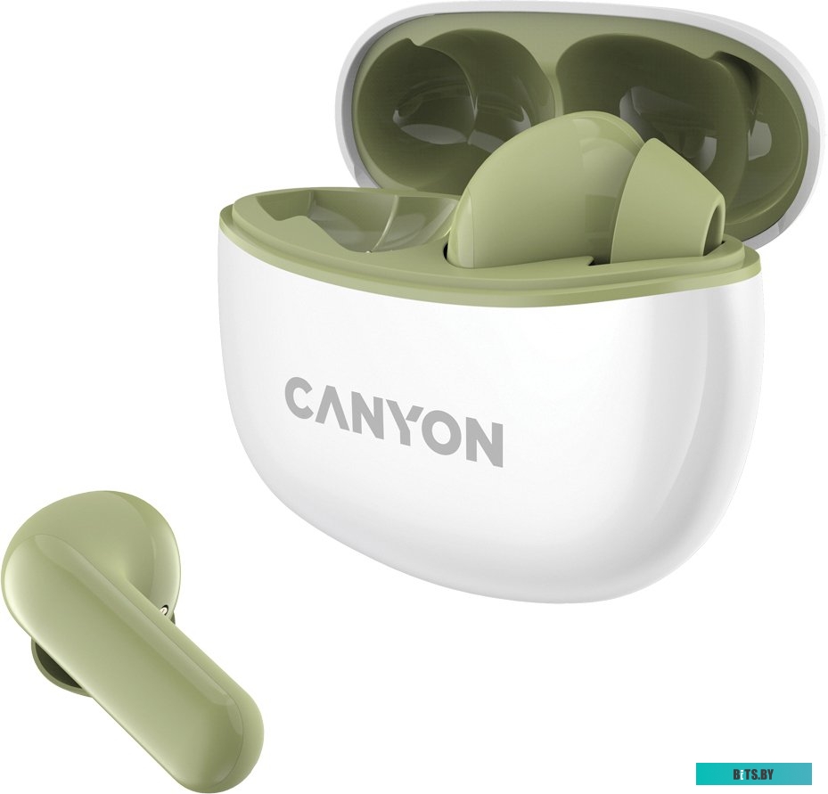 Наушники (Гарнитура) Canyon CNS-TWS5GR
