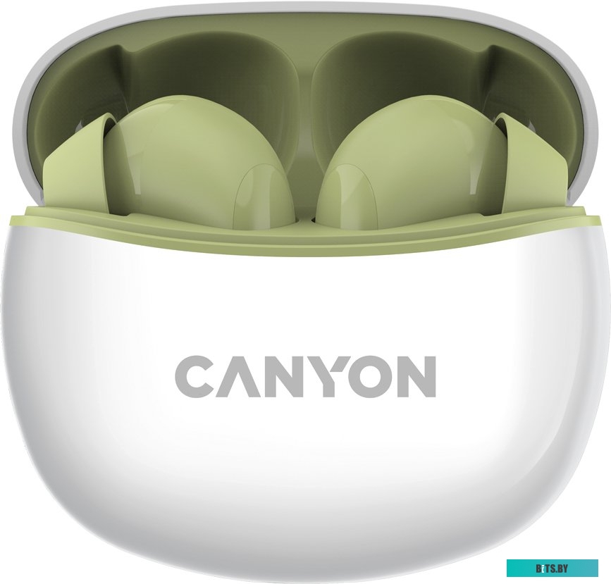 Наушники (Гарнитура) Canyon CNS-TWS5GR