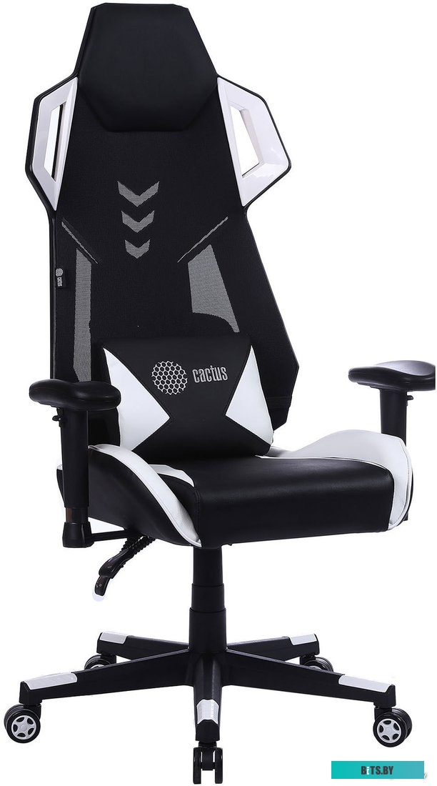 Кресло CACTUS CS-CHR-090BLW (черный/белый)