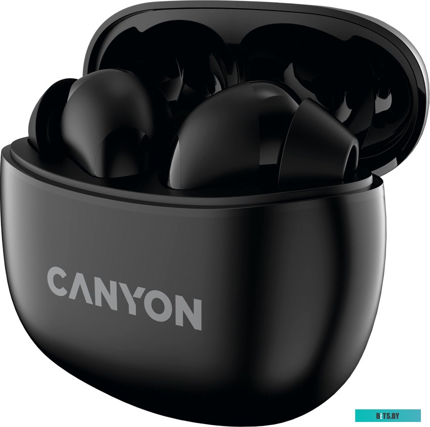 Наушники (Гарнитура) Canyon CNS-TWS5B
