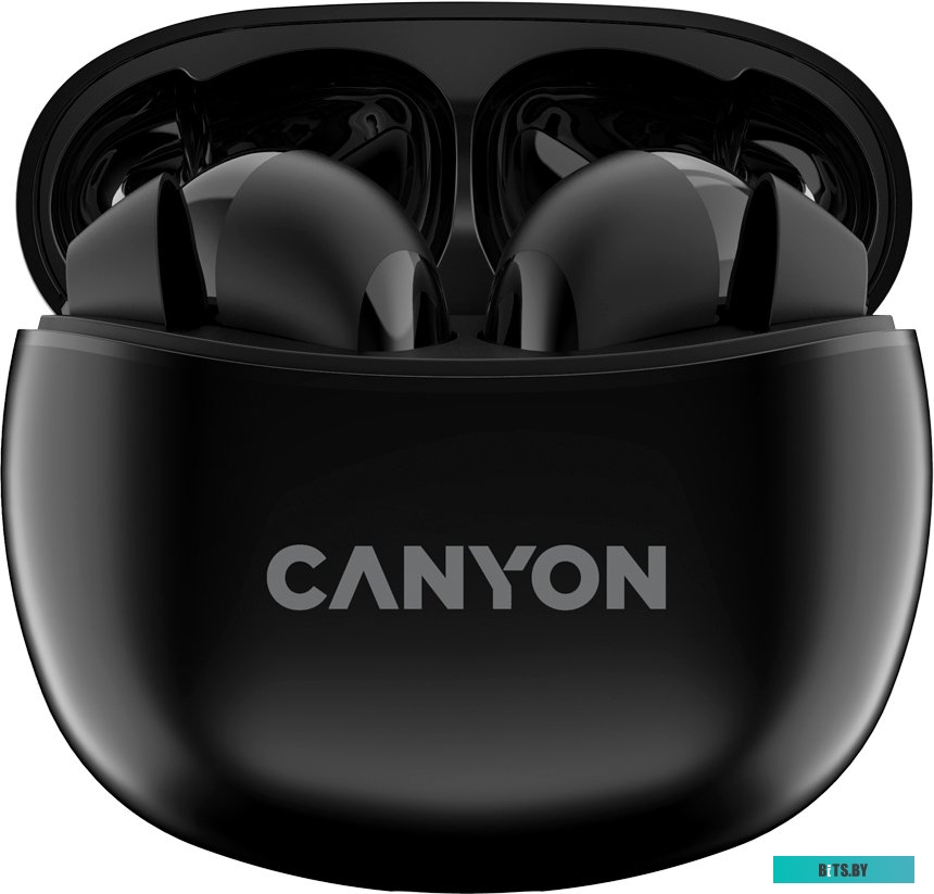 Наушники (Гарнитура) Canyon CNS-TWS5B