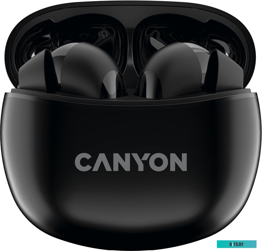 Наушники (Гарнитура) Canyon CNS-TWS5B