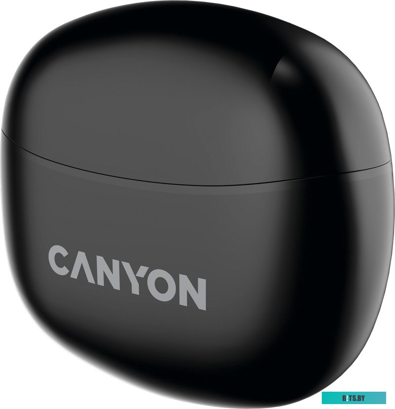 Наушники (Гарнитура) Canyon CNS-TWS5B