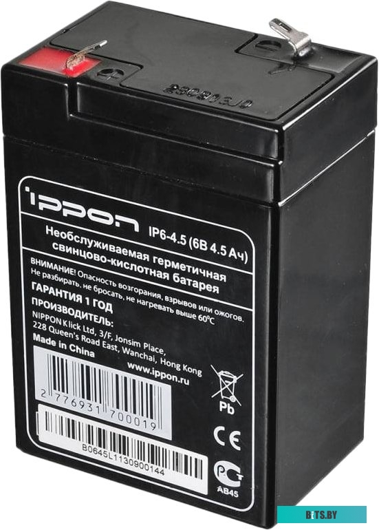 Аккумулятор для ИБП IPPON IP 6-4.5 (6В/4.5 А·ч)