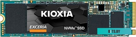 SSD Накопитель Kioxia Exceria 250GB LRC10Z250GG8