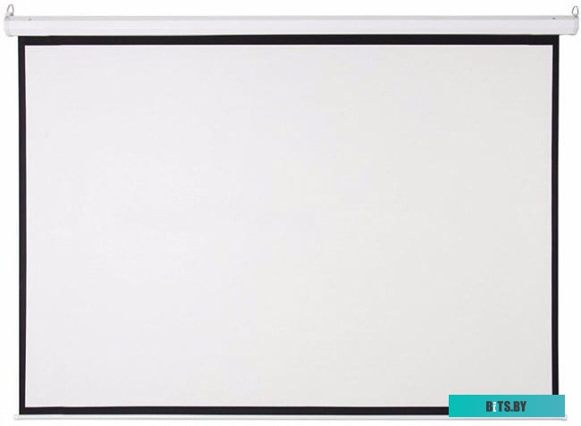 Проекционный экран Future Vision Video 200x150 W200VMW