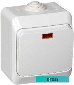 Выключатель Schneider Electric Этюд BA10-045B