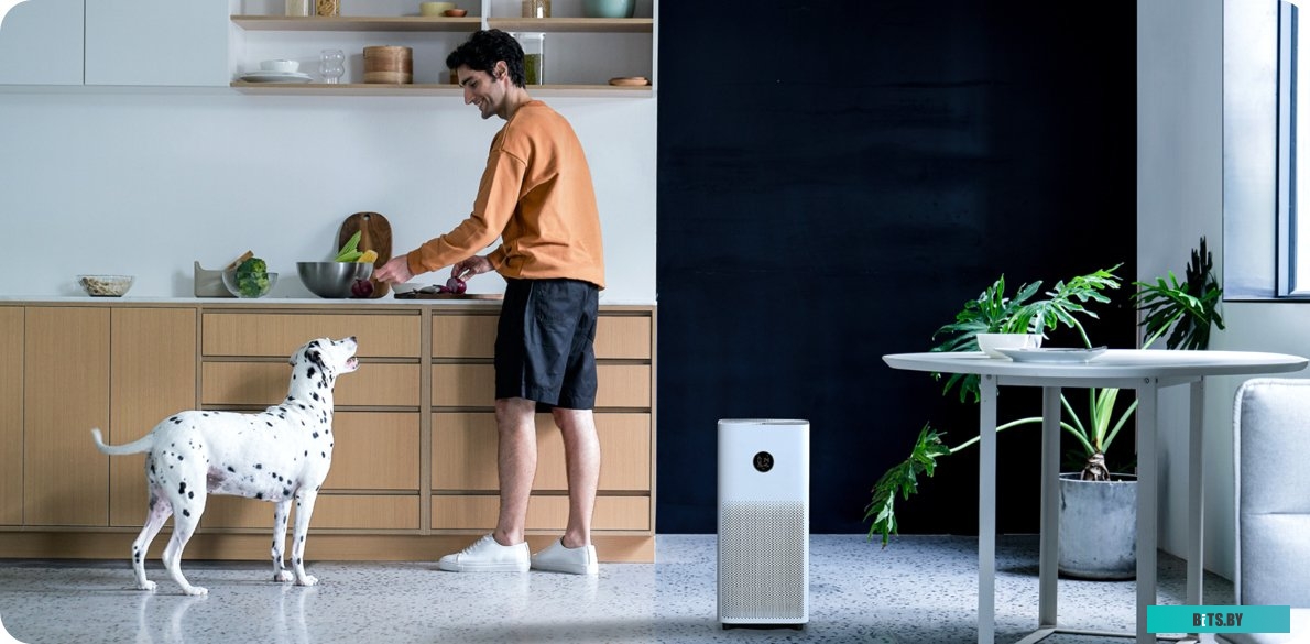 Очиститель воздуха Xiaomi Mi Smart Air Purifier 4 AC-M16-SC <BHR5096GL>
