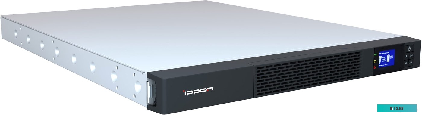 Источник бесперебойного питания (ИБП) Ippon Smart Winner II 1150 1U 1384149
