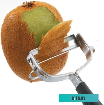 Настольная лампа Camelion KD-313 C02 13640 (черный)