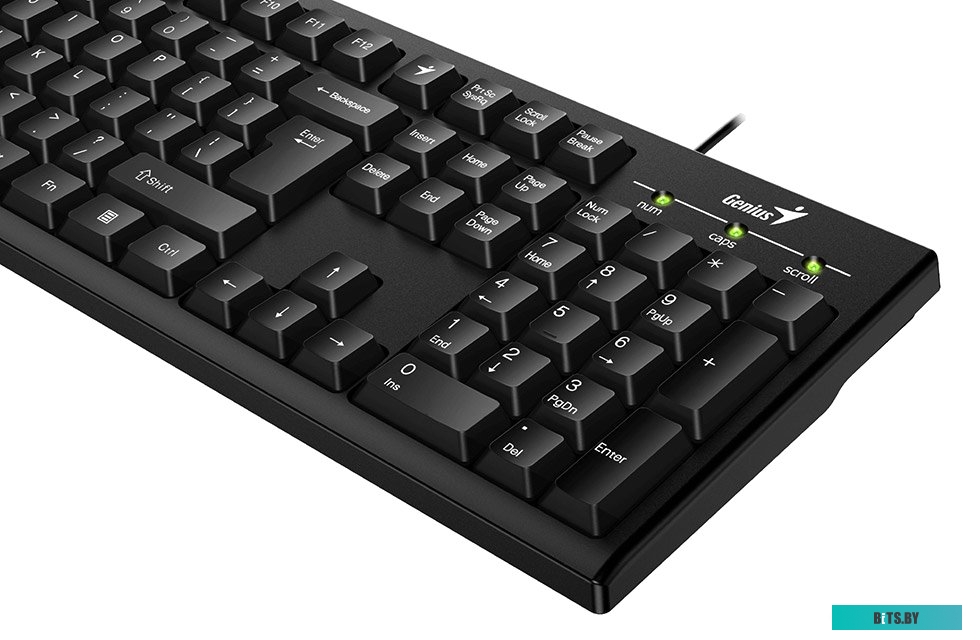 Клавиатура Genius KB-100