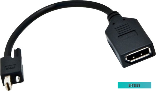 Адаптер Matrox DisplayPort - mini DisplayPort CAB-MDP-DPF (0.2 м, черный)