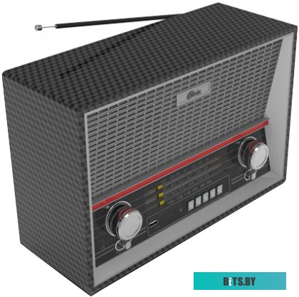 Радиоприемник Ritmix RPR-102 (карбон)