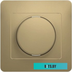 Розетка Schneider Electric Glossa GSL000434 (титан)