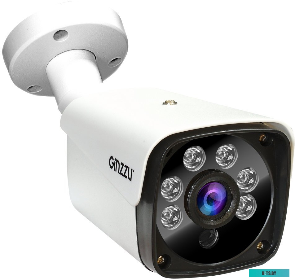 IP-камера Ginzzu HIB-4301A