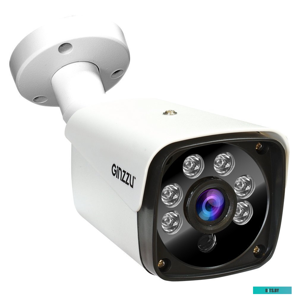 IP-камера Ginzzu HIB-4301A