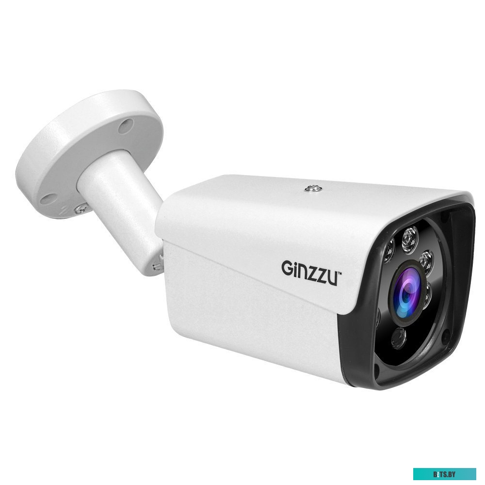 IP-камера Ginzzu HIB-4301A