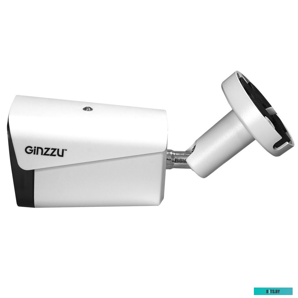 IP-камера Ginzzu HIB-4301A