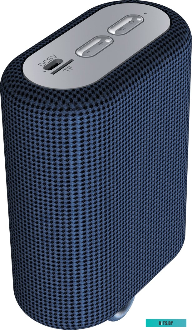 Беспроводная колонка Canyon CNE-CBTSP4BL