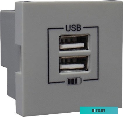 Розетка USB Efapel 45439 SAL